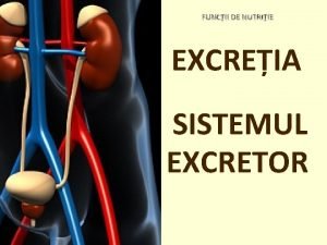 Rinichii sunt organe cu rol excretor