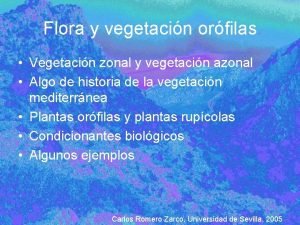 Vegetacion zonal