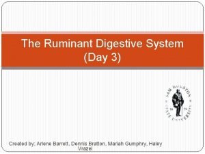 The Ruminant Digestive System Day 3 Created by