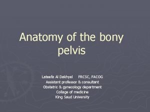 Anatomy of the bony pelvis Lateefa Al Dakhyel