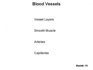 Sinusoidal capillaries
