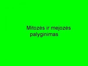 Mitozės ir mejozės palyginimas