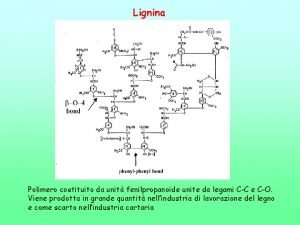 Lignina Polimero costituito da unit fenilpropanoide unite da