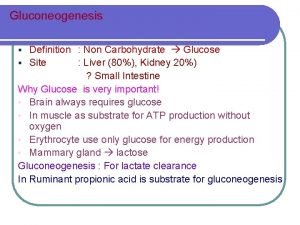Gluconeogenesis definition
