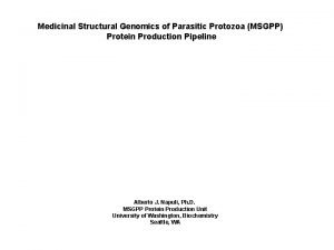 Medicinal Structural Genomics of Parasitic Protozoa MSGPP Protein