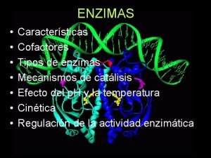 ENZIMAS Caractersticas Cofactores Tipos de enzimas Mecanismos de