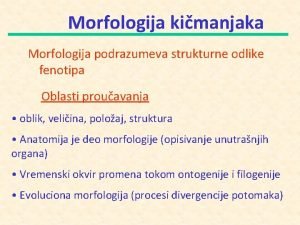 Morfologija kimanjaka Morfologija podrazumeva strukturne odlike fenotipa Oblasti