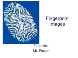 Fingerprint Images Forensics Mr Foster LOOP WHORL ARCH