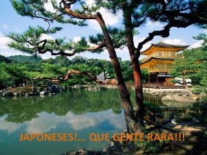 JAPONESES QUE GENTE RARA 13 curiosidades sobre os