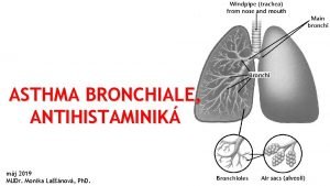 ASTHMA BRONCHIALE ANTIHISTAMINIK mj 2019 MUDr Monika Lanov