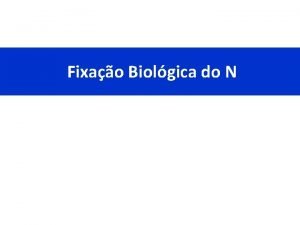 Fixao Biolgica do N 1 Ciclo do N