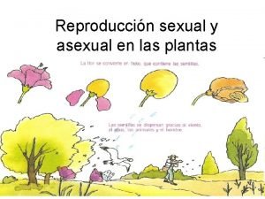 Fragmentación en las plantas