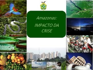 Amazonas IMPACTO DA CRISE ESTADO DO AMAZONAS 1