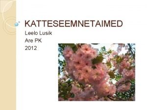 KATTESEEMNETAIMED Leelo Lusik Are PK 2012 Katteseemnetaimed Ehk