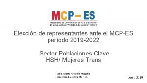 Eleccin de representantes ante el MCPES perodo 2019