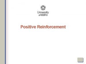 Positive Reinforcement Skinner Systematically Demonstrated Several Things 1