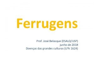 Ferrugens Prof Jos Belasque ESALQUSP junho de 2018