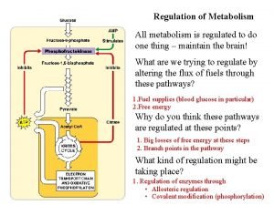 Regulation of Metabolism All metabolism is regulated to