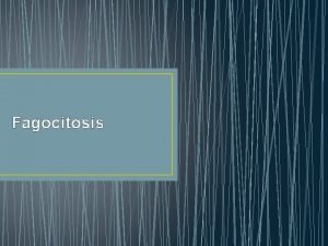 Fagocitosis Generalidades 1 Es el proceso que realizan