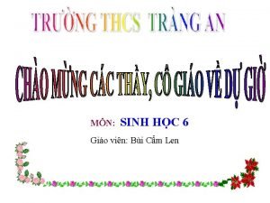 MN SINH HC 6 Gio vin Bi Cm