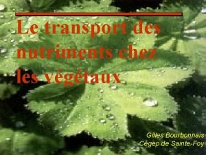 Le transport des nutriments chez les vgtaux Gilles