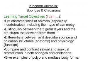 Kingdom Animalia Sponges Cnidarians Learning Target Objectives I