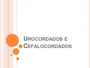 Urocordados