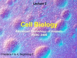 Receptor - mediated endocytosis