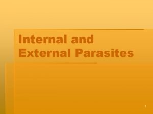 Internal and External Parasites 1 Metamorphosis The process