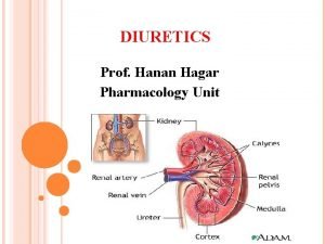 Loop diuretics adverse effects