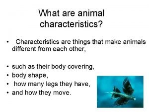 What are animal characteristics Characteristics are things that