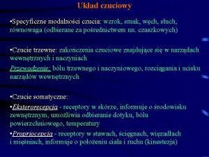 Ukad czuciowy Specyficzne modalnoci czucia wzrok smak wch