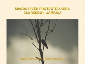 Mason river clarendon