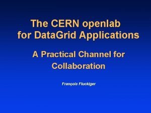 The CERN openlab for Data Grid Applications A