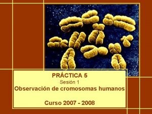 PRCTICA 5 Sesin 1 Observacin de cromosomas humanos