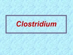 Clostridium Spores Clostridium form endospores under adverse environmental