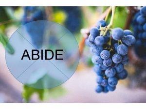 ABIDE 1 I am the true vine and