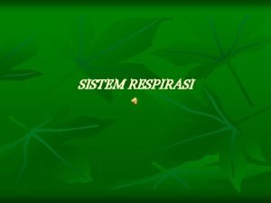 SISTEM RESPIRASI Alatalat Respirasi Saat kita bernafas udara