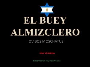 El buey almizclero