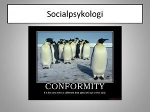 Socialpsykologi roller