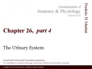 Anatomy Physiology SIXTH EDITION Chapter 26 part 4