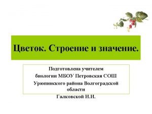 http flowers cvetisadi rukakustroencvetok http chebarkul olx ruiid184453798