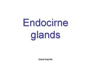 Endocirne glands David Kachlk Endocrine glands Glandulae endocrinae