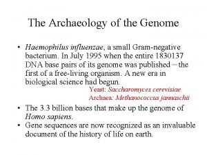 The Archaeology of the Genome Haemophilus influenzae a