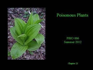 Poisonous Plants PBIO 006 Summer 2012 Chapter 21