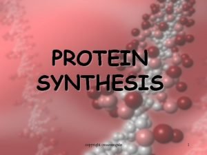 PROTEIN SYNTHESIS copyright cmassengale 1 DNA DNA contains