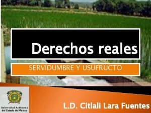 Derechos reales SERVIDUMBRE Y USUFRUCTO L D Citlali