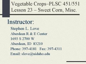 Vegetable CropsPLSC 451551 Lesson 23 Sweet Corn Misc