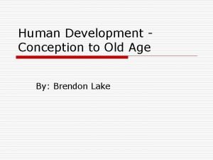 Human Development Conception to Old Age By Brendon