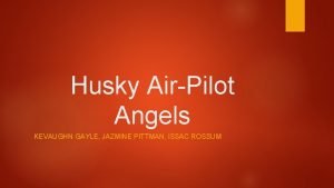 Husky air pilot angels